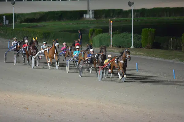Montegiorgio: all’ippodromo San Paolo un weekend di trotto tra la dinastia Mattii e la magia natalizia