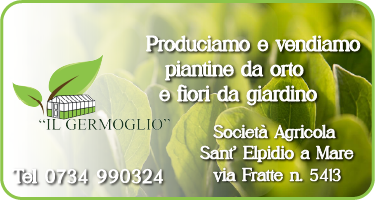 Cronaca-Categoria-Pubb-3-Tel