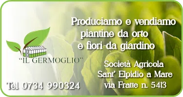 germoglio-1