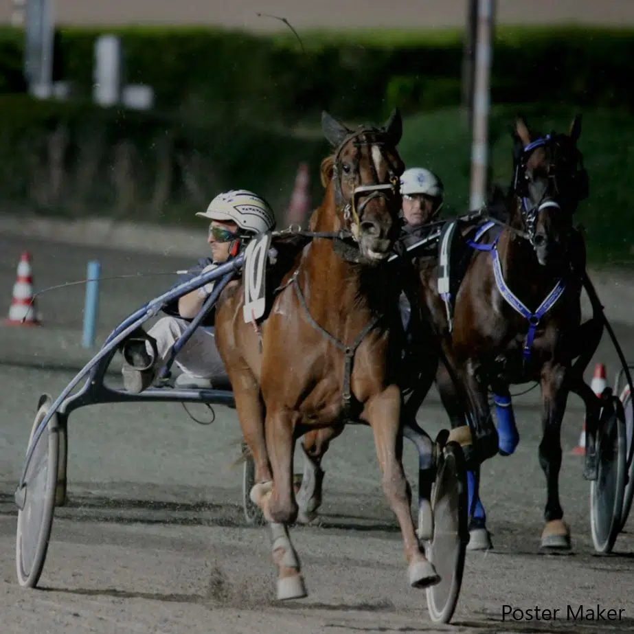 All’Ippodromo San Paolo un San Valentino all’insegna del trotto