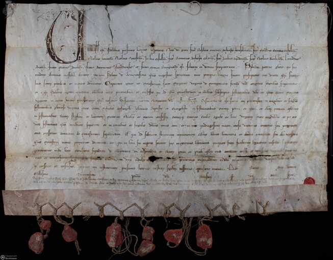 Montegranaro avvia il progetto di digitalizzazione dei documenti storici alla biblioteca ‘E. M. Conti’