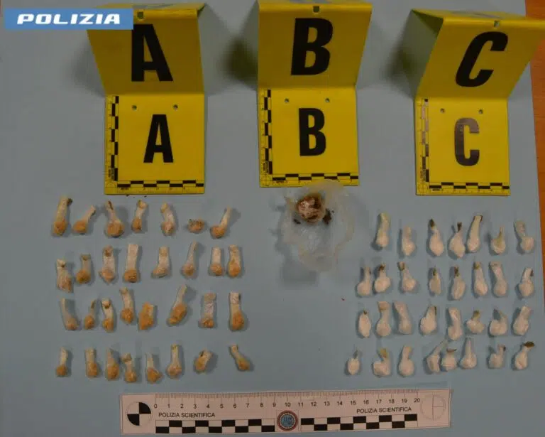 Microcriminalità e spaccio di droga: controlli interforze lungo la costa Fermana