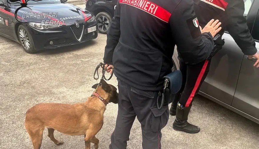 Cocaina e marijuana in casa pronte per essere spacciate: denunciato un albanese