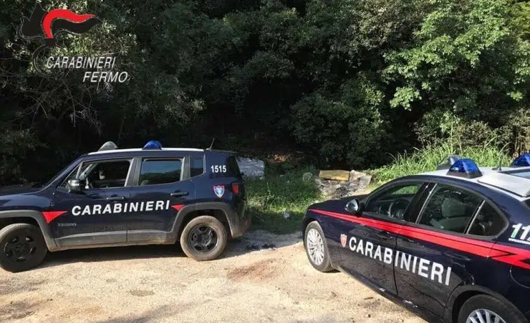 Scoperta discarica abusiva di letame: i carabinieri forestali denunciano un uomo
