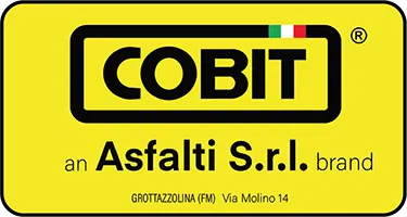 cobit-1