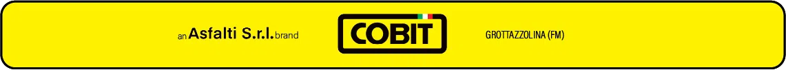 cobit-2