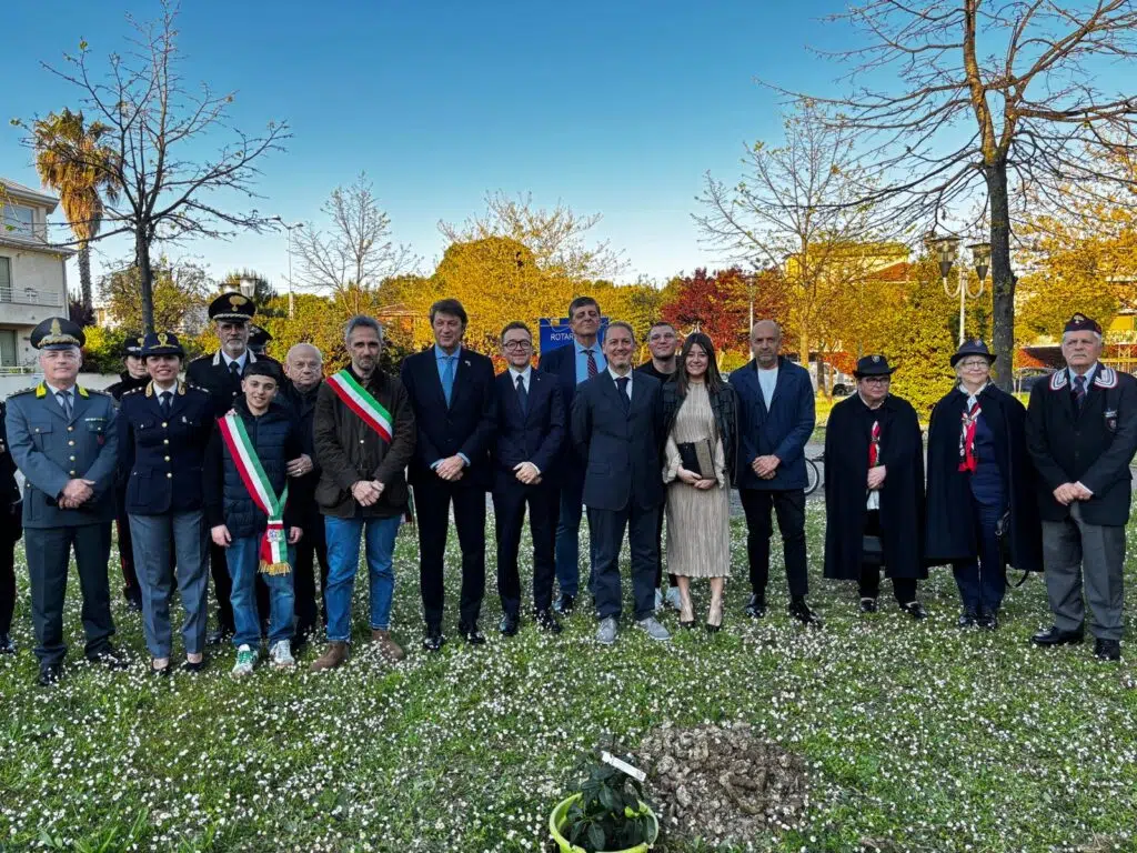 L'”Albero di Falcone”, la pianta simbolo della lotta alla mafia piantata davanti all’istituto Nardi