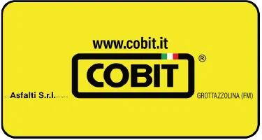 cobit-new-1
