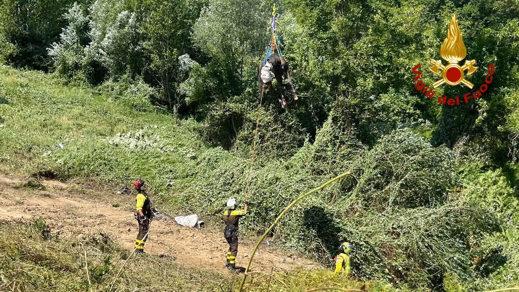 Amandola, Vigili del fuoco salvano un cavallo finito in un burrone