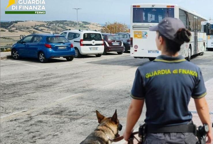Fermano, 203 controlli fiscali e 66 interventi antidroga: il bilancio della Guardia di Finanza
