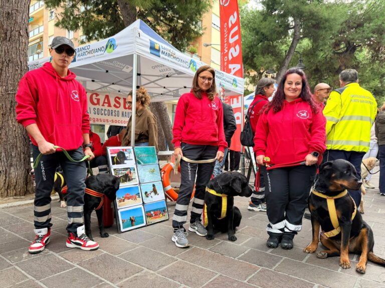 Piazza Matteotti si riempie di solidarietà: 25 animali trovano famiglia con “Adotta…mi”