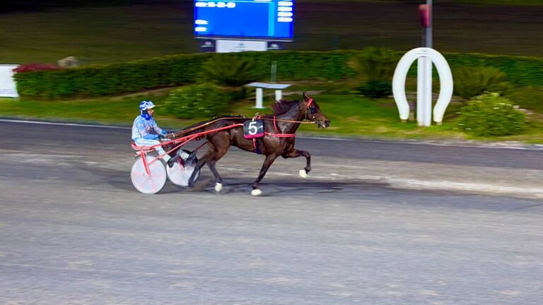 Trotto e magia Disney all&rsquo;Ippodromo San Paolo: otto corse verso il Palio dei Comuni
